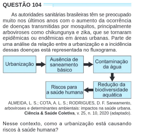 Imagem da questão 104 do ENEM 2024 (Ciências da Natureza)