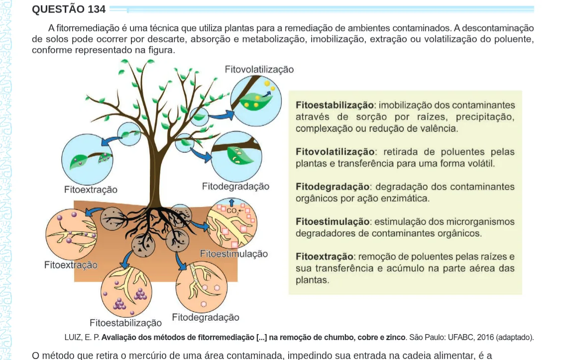 Imagem da questão 134 do ENEM 2024 (Ciências da Natureza)