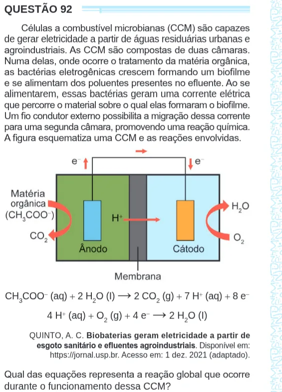 Imagem da questão 92 do ENEM 2024 (Ciências da Natureza)