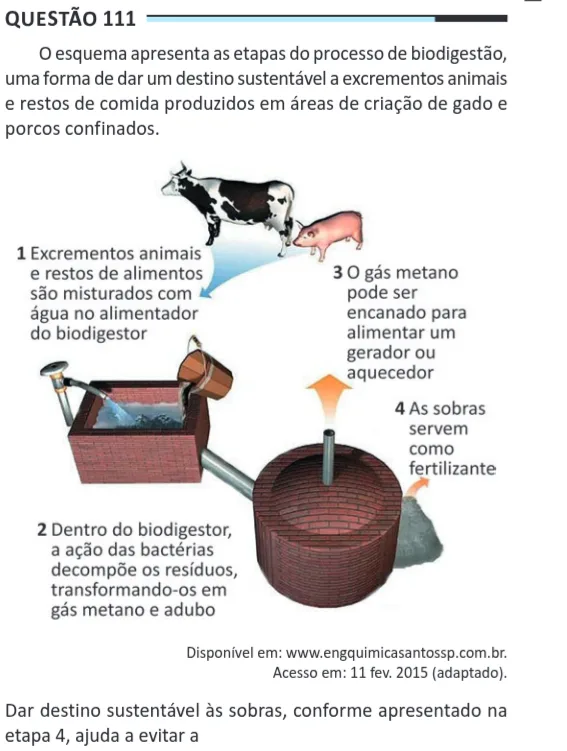 Imagem da questão 111 do ENEM 2025 (Ciências da Natureza)